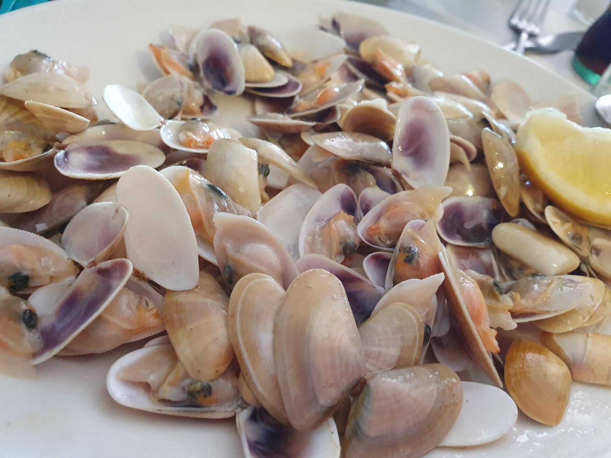 발리타드벨레즈 Brisas Del Mar 빌라 외부 사진